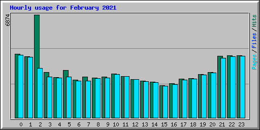 Hourly usage for February 2021