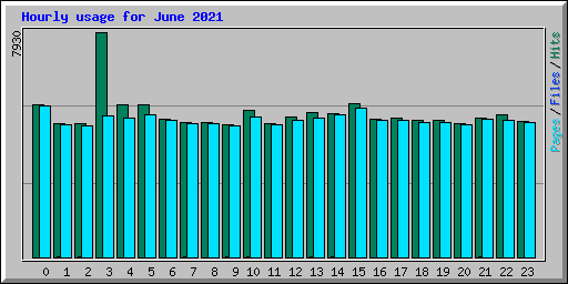 Hourly usage for June 2021
