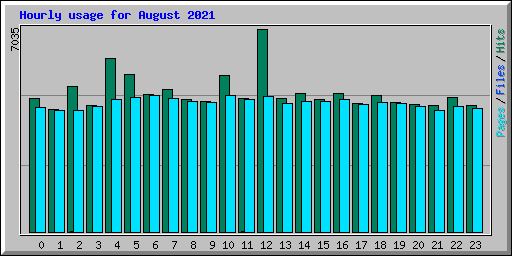 Hourly usage for August 2021
