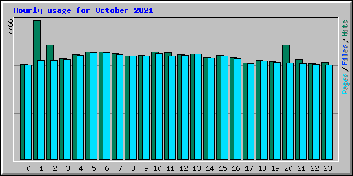 Hourly usage for October 2021