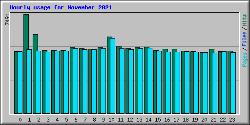 Hourly usage for November 2021