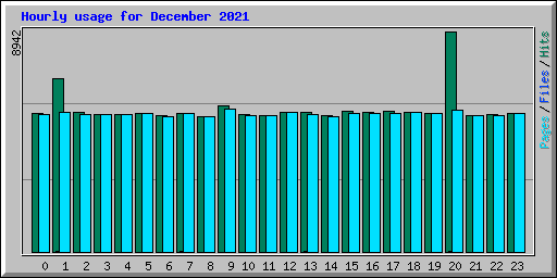 Hourly usage for December 2021