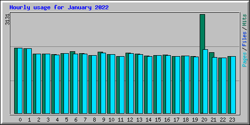 Hourly usage for January 2022